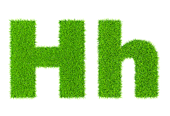 Image showing Grass letter H