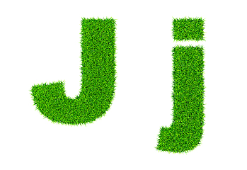 Image showing Grass letter J