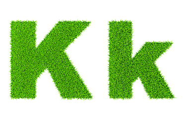 Image showing Grass letter K