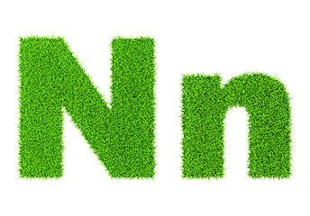 Image showing Grass letter N