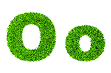 Image showing Grass letter O
