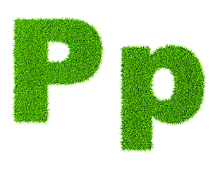 Image showing Grass letter P