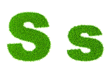 Image showing Grass letter S