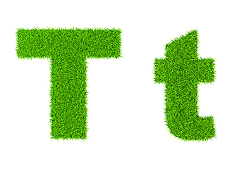 Image showing Grass letter T