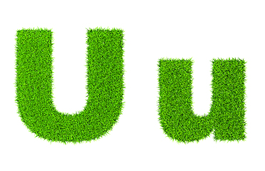 Image showing Grass letter U