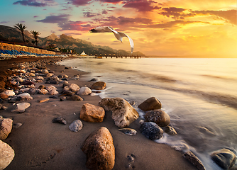 Image showing Stones by the sea