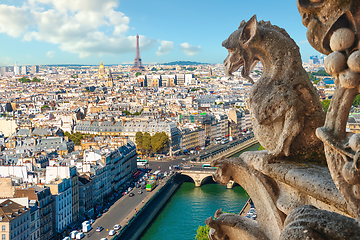 Image showing Streets of Paris and chimeras