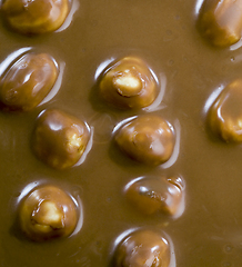 Image showing hazelnuts in chocolate