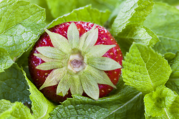 Image showing red ripe strawberries