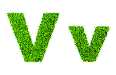 Image showing Grass letter V
