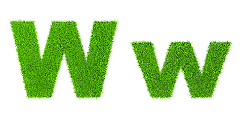 Image showing Grass letter W