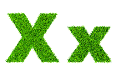 Image showing Grass letter X