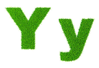 Image showing Grass letter Y