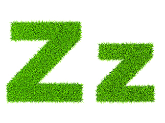 Image showing Grass letter Z