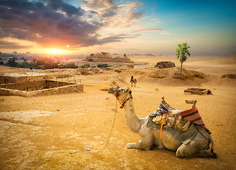 Image showing Sunset and Giza