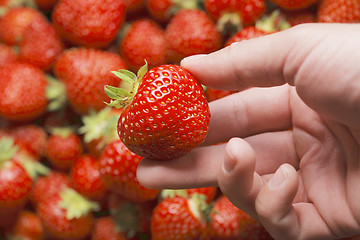 Image showing Strawberry