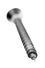 Image showing Screw