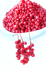 Image showing full plate of red ripe schisandra isolated