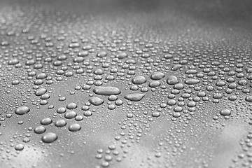 Image showing Droplets