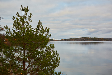 Image showing Baltic sea meets rocks in stockholm archipelago.