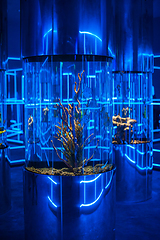 Image showing oceanarium interior photo