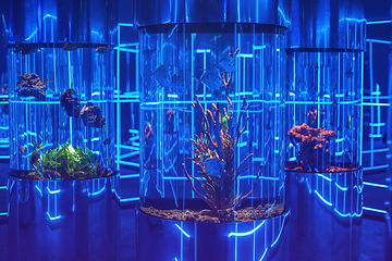 Image showing oceanarium interior photo