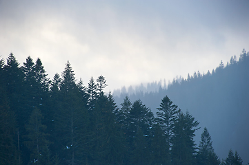 Image showing Carpathians Mountains in the mist