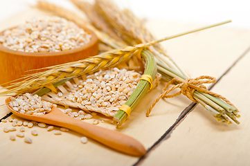 Image showing organic wheat grains