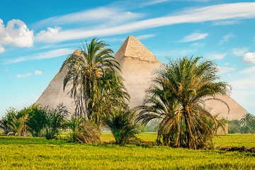 Image showing The pyramids in a green field