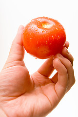 Image showing Fresh Tomato