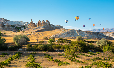 Image showing Valley with hot air balloons