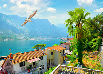 Image showing View of Kotor bay