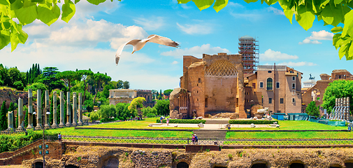 Image showing View of the Roman Forum