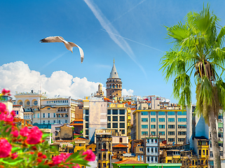 Image showing View on Galata Tower