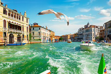 Image showing Warm day in Venice