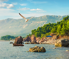 Image showing Wild beach near Sveti Stefan