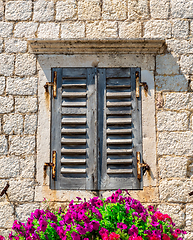 Image showing Window and flowers