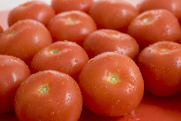 Image showing Tomatos