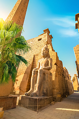 Image showing luxor temple and palm