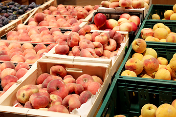 Image showing peaches and nectarines in the shop