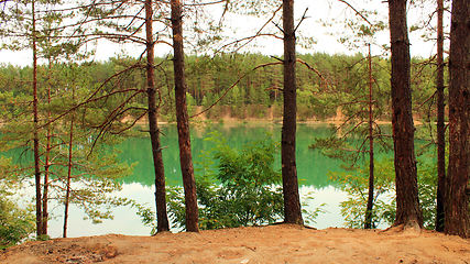 Image showing lake in the forest