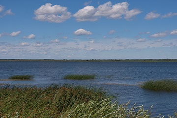 Image showing Siemianówka artificial lagoon