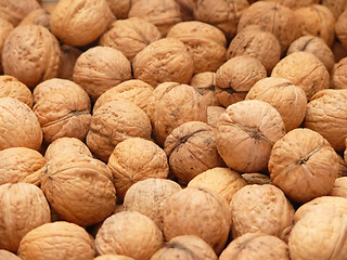 Image showing Walnuts