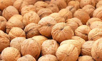 Image showing Walnuts