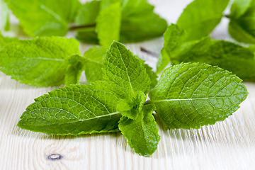 Image showing green mint, close up