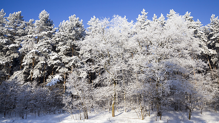 Image showing landscape in the winter time