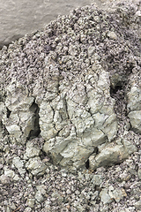 Image showing heap of earth detail