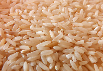 Image showing Rice