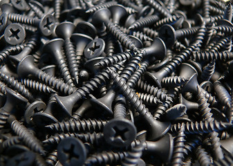 Image showing Screws