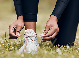 Image showing Lace sneakers, person and hands outdoor on grass for running, workout and performance. Closeup of athlete, runner and tie shoes on feet, footwear and exercise at park for sports, fitness and marathon